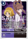 EX10-064.png