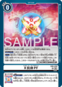 EX5-070_P3.png