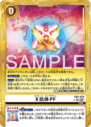 EX5-070_P4.png