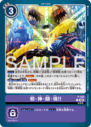 P-193.png