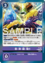 P-193_P1.png