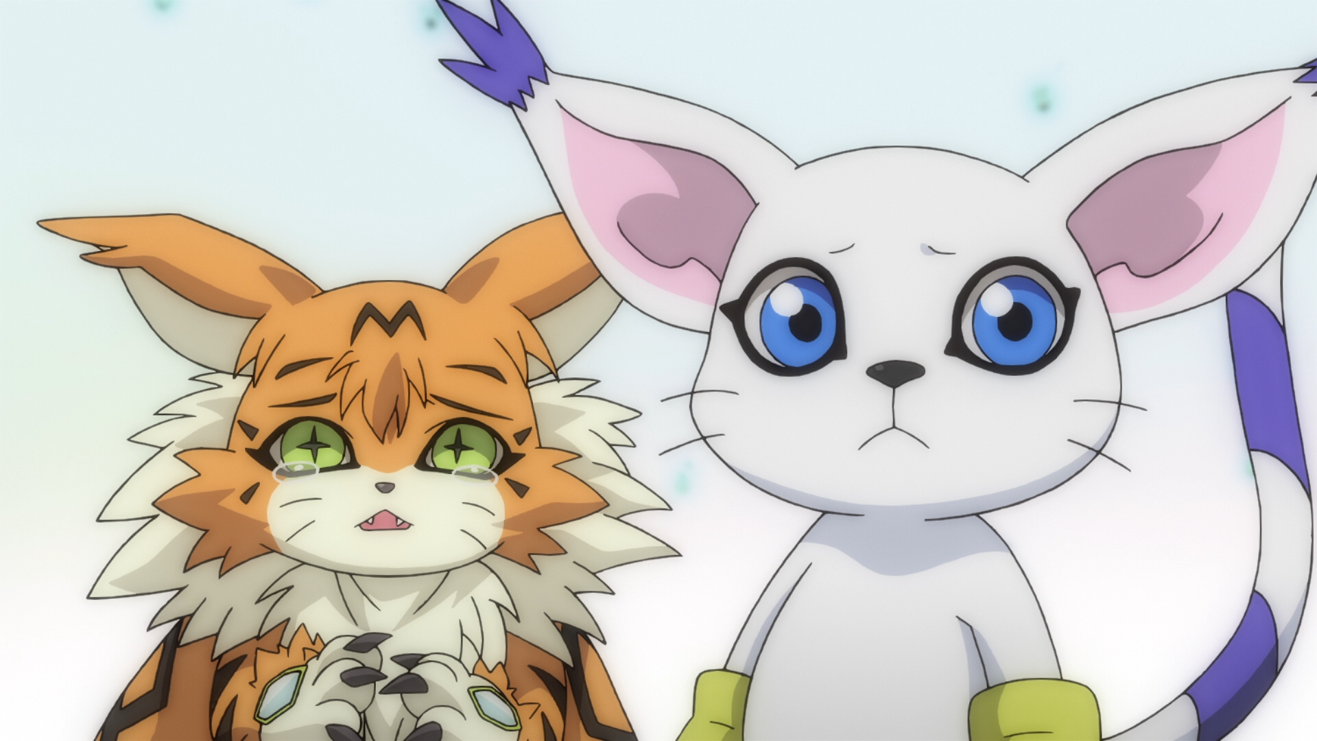 Digimon Adventure Tri – Coherent Cats